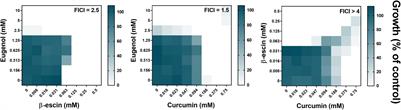 Discovery of Natural Products With Antifungal Potential Through Combinatorial Synergy